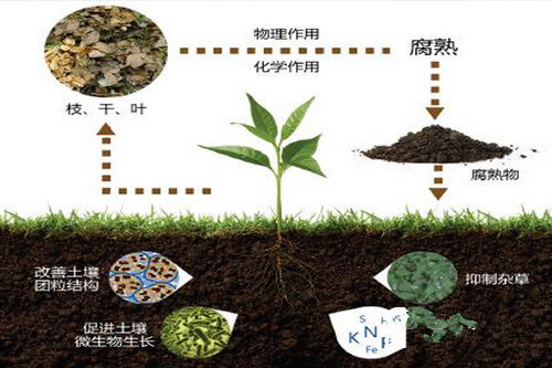 土壤有機質(zhì)對土壤肥力的七大作用